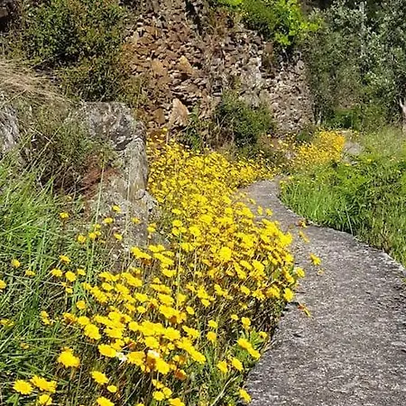 Refugio Da Estrela * Aguincho
