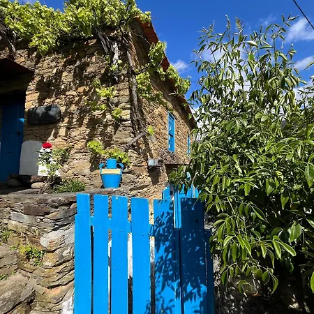 팜스테이 Refugio Da Estrela *